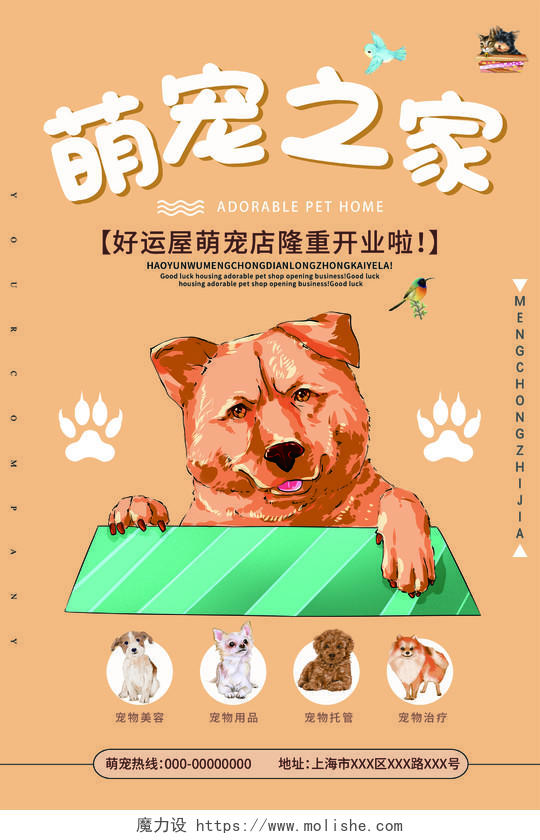 黄色简约萌宠之家宠物店开业宣传活动海报宠物海报